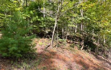 BEAUTIFULLY WOODED LOT IN THE MOUNTAINS OF NORTH CAROLINA!! This on Mountain Harbour Golf Club in North Carolina - for sale on GolfHomes.com, golf home, golf lot