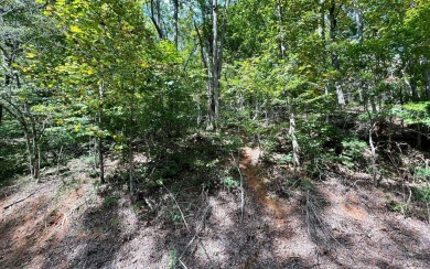 BEAUTIFULLY WOODED LOT IN THE MOUNTAINS OF NORTH CAROLINA!! This on Mountain Harbour Golf Club in North Carolina - for sale on GolfHomes.com, golf home, golf lot