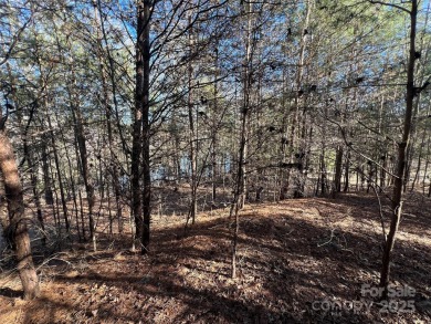 This lot is DOCKABLE! Don't miss a rare opportunity to own a on Edgewater Golf Club in South Carolina - for sale on GolfHomes.com, golf home, golf lot