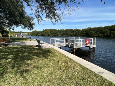 Discerning buyers who want value! Don't miss this 2 bed/2 bath on Mangrove Bay Golf Course in Florida - for sale on GolfHomes.com, golf home, golf lot