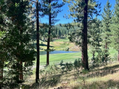 THIS GRIZZLY RANCH HOMESITE IS NOTHING SHORT OF A DREAM COME on Grizzly Ranch Golf Club in California - for sale on GolfHomes.com, golf home, golf lot