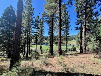 THIS GRIZZLY RANCH HOMESITE IS NOTHING SHORT OF A DREAM COME on Grizzly Ranch Golf Club in California - for sale on GolfHomes.com, golf home, golf lot