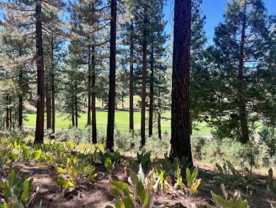 THIS GRIZZLY RANCH HOMESITE IS NOTHING SHORT OF A DREAM COME on Grizzly Ranch Golf Club in California - for sale on GolfHomes.com, golf home, golf lot