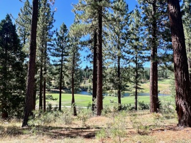 THIS GRIZZLY RANCH HOMESITE IS NOTHING SHORT OF A DREAM COME on Grizzly Ranch Golf Club in California - for sale on GolfHomes.com, golf home, golf lot