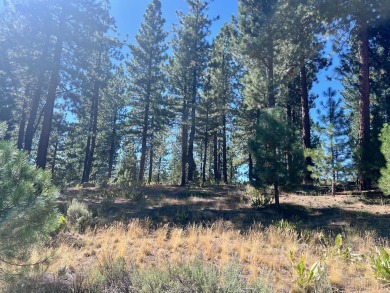 THIS GRIZZLY RANCH HOMESITE IS NOTHING SHORT OF A DREAM COME on Grizzly Ranch Golf Club in California - for sale on GolfHomes.com, golf home, golf lot