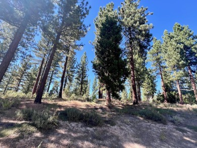 THIS GRIZZLY RANCH HOMESITE IS NOTHING SHORT OF A DREAM COME on Grizzly Ranch Golf Club in California - for sale on GolfHomes.com, golf home, golf lot