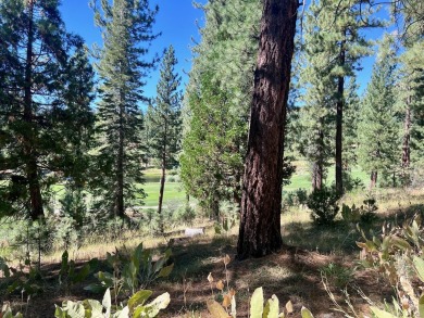 THIS GRIZZLY RANCH HOMESITE IS NOTHING SHORT OF A DREAM COME on Grizzly Ranch Golf Club in California - for sale on GolfHomes.com, golf home, golf lot