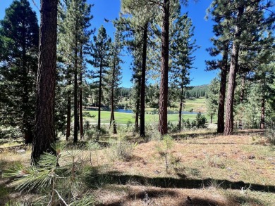 THIS GRIZZLY RANCH HOMESITE IS NOTHING SHORT OF A DREAM COME on Grizzly Ranch Golf Club in California - for sale on GolfHomes.com, golf home, golf lot