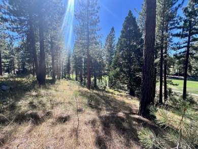 THIS GRIZZLY RANCH HOMESITE IS NOTHING SHORT OF A DREAM COME on Grizzly Ranch Golf Club in California - for sale on GolfHomes.com, golf home, golf lot