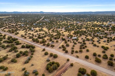 Wow 5 acres of prime land in Show Low AZ! Bring your boats to on Silver Creek Golf Club in Arizona - for sale on GolfHomes.com, golf home, golf lot