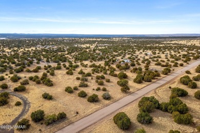 Wow 5 acres of prime land in Show Low AZ! Bring your boats to on Silver Creek Golf Club in Arizona - for sale on GolfHomes.com, golf home, golf lot