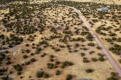 Wow 5 acres of prime land in Show Low AZ! Bring your boats to on Silver Creek Golf Club in Arizona - for sale on GolfHomes.com, golf home, golf lot