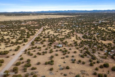 Wow 5 acres of prime land in Show Low AZ! Bring your boats to on Silver Creek Golf Club in Arizona - for sale on GolfHomes.com, golf home, golf lot