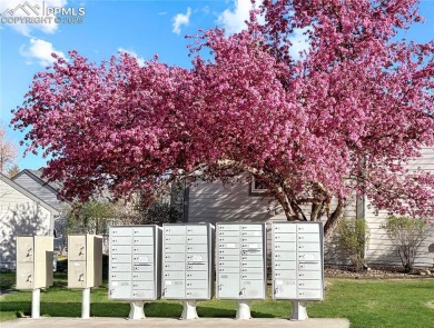 A Rare, Fully Renovated Gem | Welcome to a truly exceptional on Country Club of Colorado in Colorado - for sale on GolfHomes.com, golf home, golf lot