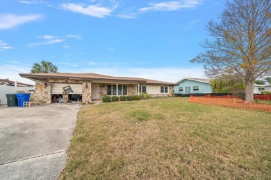 Stunning waterfront views across St Joseph Sound.  Water birds on The Dunedin Country Club in Florida - for sale on GolfHomes.com, golf home, golf lot