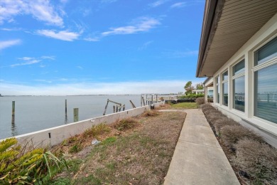 Stunning waterfront views across St Joseph Sound.  Water birds on The Dunedin Country Club in Florida - for sale on GolfHomes.com, golf home, golf lot