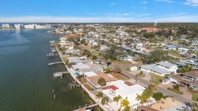 Stunning waterfront views across St Joseph Sound.  Water birds on The Dunedin Country Club in Florida - for sale on GolfHomes.com, golf home, golf lot