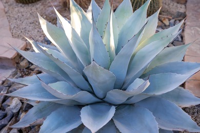 Located behind a dedicated gate in the Barcelona homes cul de on Desert Falls Country Club in California - for sale on GolfHomes.com, golf home, golf lot