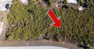 This 1/4 acre vacant lot is the perfect canvas to build your on Duffys Golf Center in Florida - for sale on GolfHomes.com, golf home, golf lot