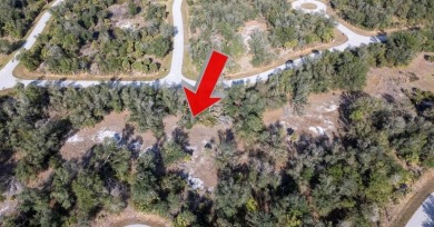 This 1/4 acre vacant lot is the perfect canvas to build your on Duffys Golf Center in Florida - for sale on GolfHomes.com, golf home, golf lot