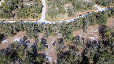 This 1/4 acre vacant lot is the perfect canvas to build your on Duffys Golf Center in Florida - for sale on GolfHomes.com, golf home, golf lot