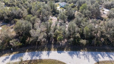 This 1/4 acre vacant lot is the perfect canvas to build your on Duffys Golf Center in Florida - for sale on GolfHomes.com, golf home, golf lot