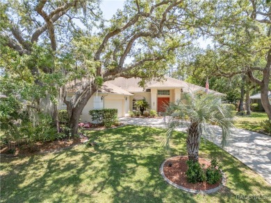 Welcome to your serene Florida retreat! This beautifully on Sugarmill Woods Golf and Country Club in Florida - for sale on GolfHomes.com, golf home, golf lot