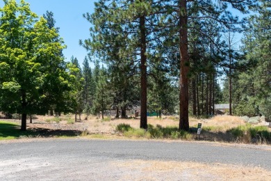 Looking for the perfect lot to build your dream home?  This on Lake Shastina Golf Course in California - for sale on GolfHomes.com, golf home, golf lot