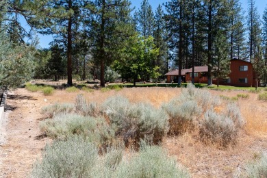 Looking for the perfect lot to build your dream home?  This on Lake Shastina Golf Course in California - for sale on GolfHomes.com, golf home, golf lot