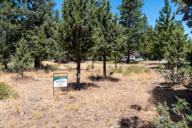 Looking for the perfect lot to build your dream home?  This on Lake Shastina Golf Course in California - for sale on GolfHomes.com, golf home, golf lot