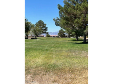 Don't miss this rare opportunity to obtain one of the few on Lakeview Executive Golf Course in Nevada - for sale on GolfHomes.com, golf home, golf lot