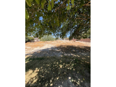 Don't miss this rare opportunity to obtain one of the few on Lakeview Executive Golf Course in Nevada - for sale on GolfHomes.com, golf home, golf lot