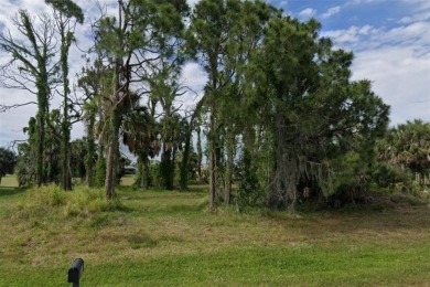 Exceptional golf course views in the highly sought-after Long on Rotonda Golf and Country Club - Long Marsh  in Florida - for sale on GolfHomes.com, golf home, golf lot