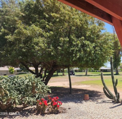 Oh WOW! You'll Say that from the Moment you Walk Up to the Front on Sun City Country Club in Arizona - for sale on GolfHomes.com, golf home, golf lot