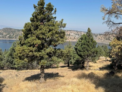 This beautiful sloping lot with in your-face-views of Lake on Lake Shastina Golf Course in California - for sale on GolfHomes.com, golf home, golf lot