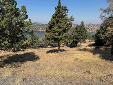 This beautiful sloping lot with in your-face-views of Lake on Lake Shastina Golf Course in California - for sale on GolfHomes.com, golf home, golf lot