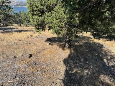 This beautiful sloping lot with in your-face-views of Lake on Lake Shastina Golf Course in California - for sale on GolfHomes.com, golf home, golf lot