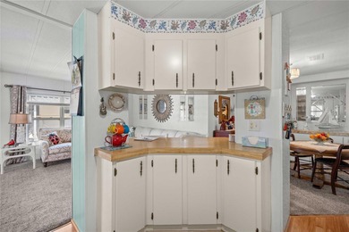 COME TO SUNNY FLORIDA! Whether you're escaping the winter chill on The Links of Lake Bernadette in Florida - for sale on GolfHomes.com, golf home, golf lot