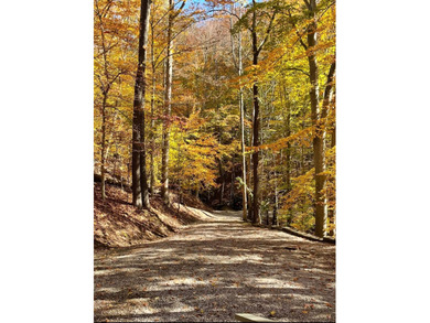 Escape to your serene retreat in the woods. Nestled above Lake on Hide-A-Way Hills Golf Club in Ohio - for sale on GolfHomes.com, golf home, golf lot