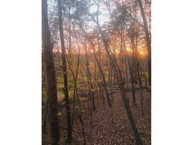 Escape to your serene retreat in the woods. Nestled above Lake on Hide-A-Way Hills Golf Club in Ohio - for sale on GolfHomes.com, golf home, golf lot