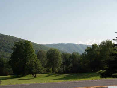 Introducing a treasure in the heart of Windham, where charm and on Windham Country Club in New York - for sale on GolfHomes.com, golf home, golf lot