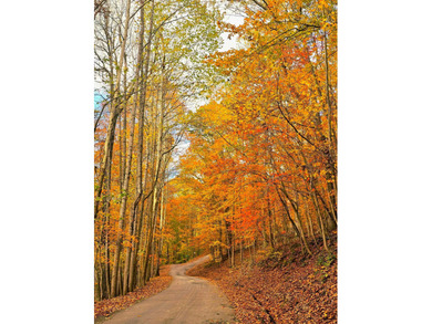 Escape to your serene retreat in the woods. Nestled above Lake on Hide-A-Way Hills Golf Club in Ohio - for sale on GolfHomes.com, golf home, golf lot