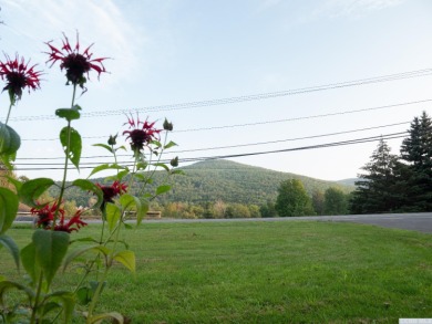 Introducing a treasure in the heart of Windham, where charm and on Windham Country Club in New York - for sale on GolfHomes.com, golf home, golf lot