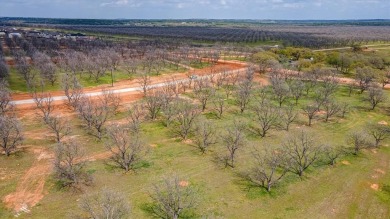 over 2 acres ready for your dream home. The newest phase of on Nutcracker Golf Club in Texas - for sale on GolfHomes.com, golf home, golf lot