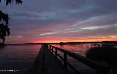 Welcome to Paradise! Enjoy the sound of birds and the beautiful on Eagle Harbor Golf Club in Florida - for sale on GolfHomes.com, golf home, golf lot