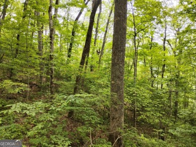Long range mountain views possible from this wooded lot located on Sky Valley Resort and Country Club in Georgia - for sale on GolfHomes.com, golf home, golf lot
