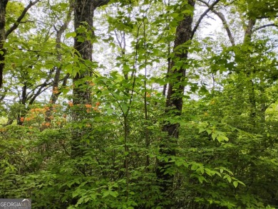 Long range mountain views possible from this wooded lot located on Sky Valley Resort and Country Club in Georgia - for sale on GolfHomes.com, golf home, golf lot