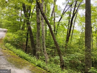 Long range mountain views possible from this wooded lot located on Sky Valley Resort and Country Club in Georgia - for sale on GolfHomes.com, golf home, golf lot