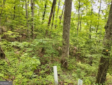 Long range mountain views possible from this wooded lot located on Sky Valley Resort and Country Club in Georgia - for sale on GolfHomes.com, golf home, golf lot