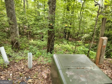 Long range mountain views possible from this wooded lot located on Sky Valley Resort and Country Club in Georgia - for sale on GolfHomes.com, golf home, golf lot